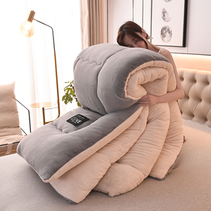 Manta de <span class=keywords><strong>Cama</strong></span> de Franela Suave y Acogedora, Gruesa, de Terciopelo de Leche, con Núcleo de <span class=keywords><strong>Sherpa</strong></span>, Cálida y Esponjosa, para el Hogar, Invierno, 5 kg - Product Image 1