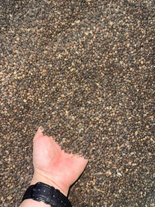 2025ดอกบัวสีน้ำเงินแบบพรีเมี่ยมเมล็ดมะละกอแห้งสมุนไพรธรรมชาติทำความสะอาดเพิ่มภูมิคุ้มกันในการย่อยอาหารเพิ่มสุขภาพผิว - Product Image 5