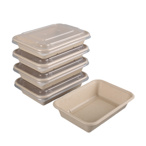biodegradable disposable lunch box to go salad box takeout bagasse food packaging with lid