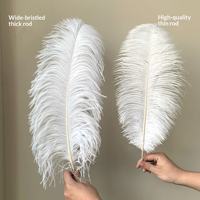 Plumes d'autruche blanchies pour accessoires vestimentaires DIY, décoration de costumes de scène pour mariages et fêtes, fournitures artisanales de carnaval