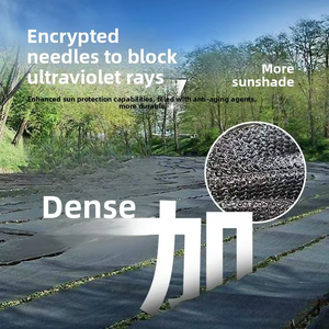 Nông Nghiệp Bóng Râm Net Trong 35% 50% Màu Đen Và Trắng Màu Sắc HDPE Hình Chữ Nhật Bóng Vải - Product Image 5