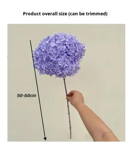 Anna <span class=keywords><strong>hortensia</strong></span> fleur séchée branche unique <span class=keywords><strong>hortensia</strong></span> éternel décoration de la maison multicolore en gros pour les Occasions de remise des diplômes - Product Image 6