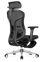 Chaise de bureau pivotante de luxe moderne de qualité supérieure en gros, chaise de direction ergonomique en maille, soutien lombaire réglable, alliage d'aluminium