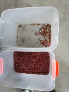 Trieuse de couleur automatique de haricots rouges, pour perles et leggings, fonction de triage des haricots rouges, séparer automatiquement