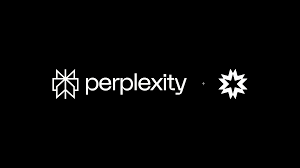 perplexity ai 12 month