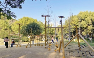 Equipo de patio de recreo al aire libre de madera Robinia con práctica de equilibrio de mejora de fuerza segura para niños de plástico para parques - Product Image 5