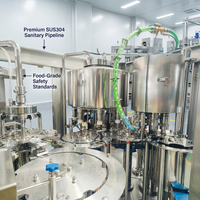 Machine industrielle monobloc entièrement automatique à grande vitesse pour le rinçage, le remplissage et le bouchage de bouteilles en PET et en verre pour eau pure minérale