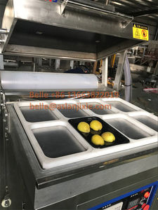 เครื่องบรรจุภัณฑ์สุญญากาศแบบสกินแพ็คสำหรับอาหารสดปรุงสุก ถาดใส่อาหารประเภทฟอยแกรส รุ่น CE - Product Image 2