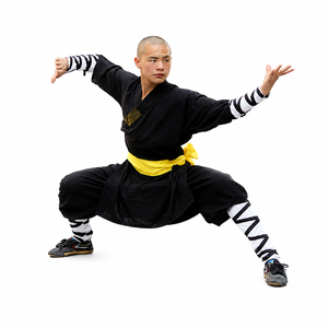 Uniforme traditionnel chinois de Kung Fu Shaolin et tenue de Taiji Wushu - Matière CVC, couleur/taille personnalisable, marque HUA <span class=keywords><strong>WU</strong></span> - Product Image 1