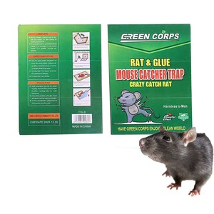 Produits de capture de souris planche à rat collante fournitures pour souris planche à rat collante super forte avec 18gglue - Product Image 1