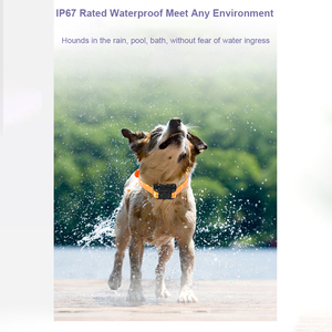 Collar de perro gps rastreador de caza localizador GPS FUNCIÓN DE cerca electrónica batería incorporada 4000mAh dispositivo de seguimiento 4g de larga espera - Product Image 3