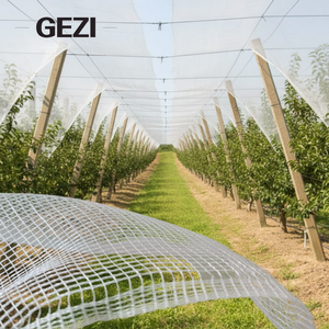 Filet anti-grêle agricole robuste en maille HDPE pour vignobles, pépinières <span class=keywords><strong>de</strong></span> fruits, <span class=keywords><strong>serres</strong></span> – Protection contre le grêle, le vent et le soleil pour la sécurité agricole - Product Image 2