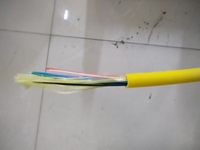 Cable de Fibra Óptica Multimodo Interior ZAWEDA Zaweda002 de 2-144 Núcleos, OS2, con Cubierta de PVC LSZH, Diámetro de 1.6-3.0 mm, Longitud Personalizable