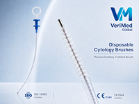 Brosse cytologique bilière à double lumière pour la collecte de cellules biliaires par ERCP, stérile à usage unique