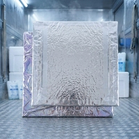 Panneau d'isolation sous vide en fibre de verre sans SVHC, panneau d'isolation thermique léger VIP pour projet d'isolation des murs extérieurs