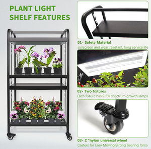 Système d'éclairage LED électronique pour culture de plantes à 2 niveaux, hauteur réglable, avec roulettes mobiles, pour support de micro-pousses et germination à domicile - Product Image 3