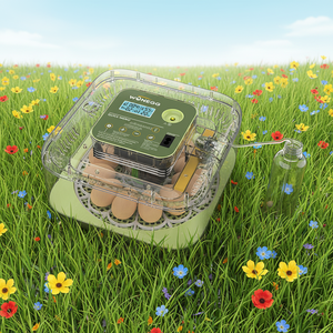 WONEGG HHD Incubadora Automática <span class=keywords><strong>de</strong></span> <span class=keywords><strong>Huevos</strong></span> <span class=keywords><strong>de</strong></span> Avestruz y <span class=keywords><strong>Gallina</strong></span>, Económica y <span class=keywords><strong>de</strong></span> Alta Calidad, para 12 <span class=keywords><strong>Huevos</strong></span>, Equipo Avícola - Product Image 1