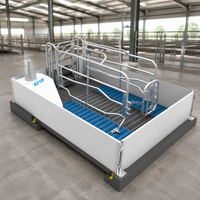 Cage de maternité et de gestation pour truies, galvanisée à chaud, à longue durée de vie, avec clôture réglable pour élevage porcin