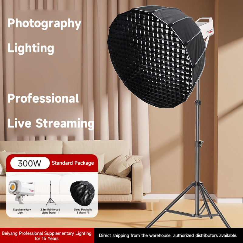 BY-300XS -- Single Light Set B