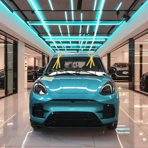 <span class=keywords><strong>4</strong></span> ruedas coches eléctricos adultos vehículo Mini Utilidad de carga superventas barato nuevo para ancianos LED Cámara cuero AC <span class=keywords><strong>Jordan</strong></span> <span class=keywords><strong>4</strong></span> Manual - Product Image 5