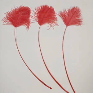 <span class=keywords><strong>Punta</strong></span> di piume di struzzo 60-65cm all'ingrosso per zaini di carnevale Festival di Samba Costume decorazioni modisteria - Product Image 3