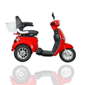 Tricycle électrique pour adulte, pour personne à deux places, 60V, 1000W, certificat de conformité approuvé, en stock