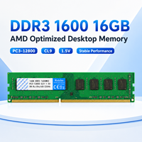 RuiChu DDR3 8GB+16GB 1600MHz RAM de bureau pour plateforme AMD uniquement, module de mémoire PC3-12800, moule privé, mise à niveau PC de jeu