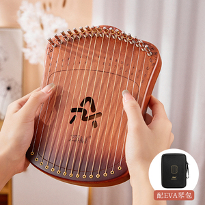 <span class=keywords><strong>ราคา</strong></span>โรงงาน: กล่องแผงเดียว17<span class=keywords><strong>สาย</strong></span>พิณ - Product Image 4