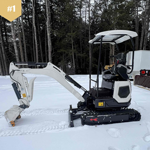 Miễn phí vận chuyển CE EPA động cơ 1.8 tấn Mini Máy xúc vườn mới Crawler loại nhỏ Digger nông nghiệp nhỏ gọn thủy lực Bagger - Product Image 6