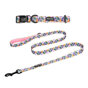 <strong>Pet</strong> <strong>Accessories</strong> New Designs Neoprene Padded <strong>Pet</strong> Dog Leash <strong>and</strong> Collar Set - Product Image 6