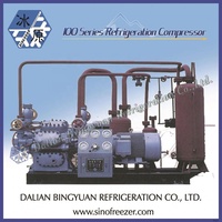 Compresseur de réfrigération industriel de Dalian pour usine de glace