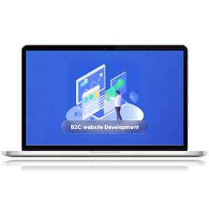 B2C Website Services Customized <strong>Design</strong> Custom <strong>Development</strong> Secondary <strong>Development</strong> <strong>and</strong> WordPress <strong>Development</strong> - Product Image 3