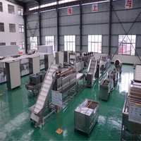 Industrielle Hochleistungs-Pommes-Frites-Produktionslinie Kontinuierliche Kartoffelchips-Verarbeitungsmaschine 300-2000kg/h für Tiefkühlkost