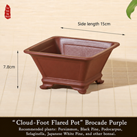 Pot de fleurs carré en résine de style chinois avec plusieurs trous de drainage, jardinière pour usage domestique pour les plantes succulentes, les cactus, les bonsaïs