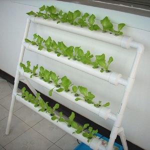 Sistema Hidropónico Automatizado para Invernadero NFT, Puede Cultivar Microgreens - Product Image 5