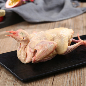 Carne de Paloma Ahumada Fresca de Alta Calidad, Alimentada con Alimentos Orgánicos, Proteína Magra, Sellada al Vacío, Recién Sacrificada para Exportación - Product Image 4