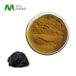 Herbal Extract Wholesale Natural Top Quality Bio Brown Shilajit Powder Bulk Pure Fulvic Acid Powder