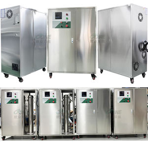 Generador de ozono de fuente de oxígeno de 100g para acuicultura para reducir el nitrógeno amoniacal - Product Image 6