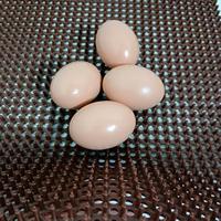 Tapis de nidification pour poules pondeuses, tapis de cage en PVC, tapis en herbe artificielle, tapis de paille pour la ponte des poules et du bétail
