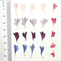 Petali di Fiordaliso Naturale Pressati ed Essiccati, Fiori Secchi per Resina Epossidica, Ciondolo in Resina Trasparente per Custodie di Cellulari, Artigianato