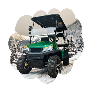 Prix d'usine 4 roues motrices 2 + 2 sièges 48V chariot de club touristique chariots de golf électriques - Product Image 4