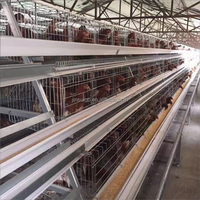 Système de nettoyage automatique du fumier à 3 niveaux de type H pour l'élevage de poulets de chair, grande capacité, cage commerciale pour volailles et poulets pondeurs