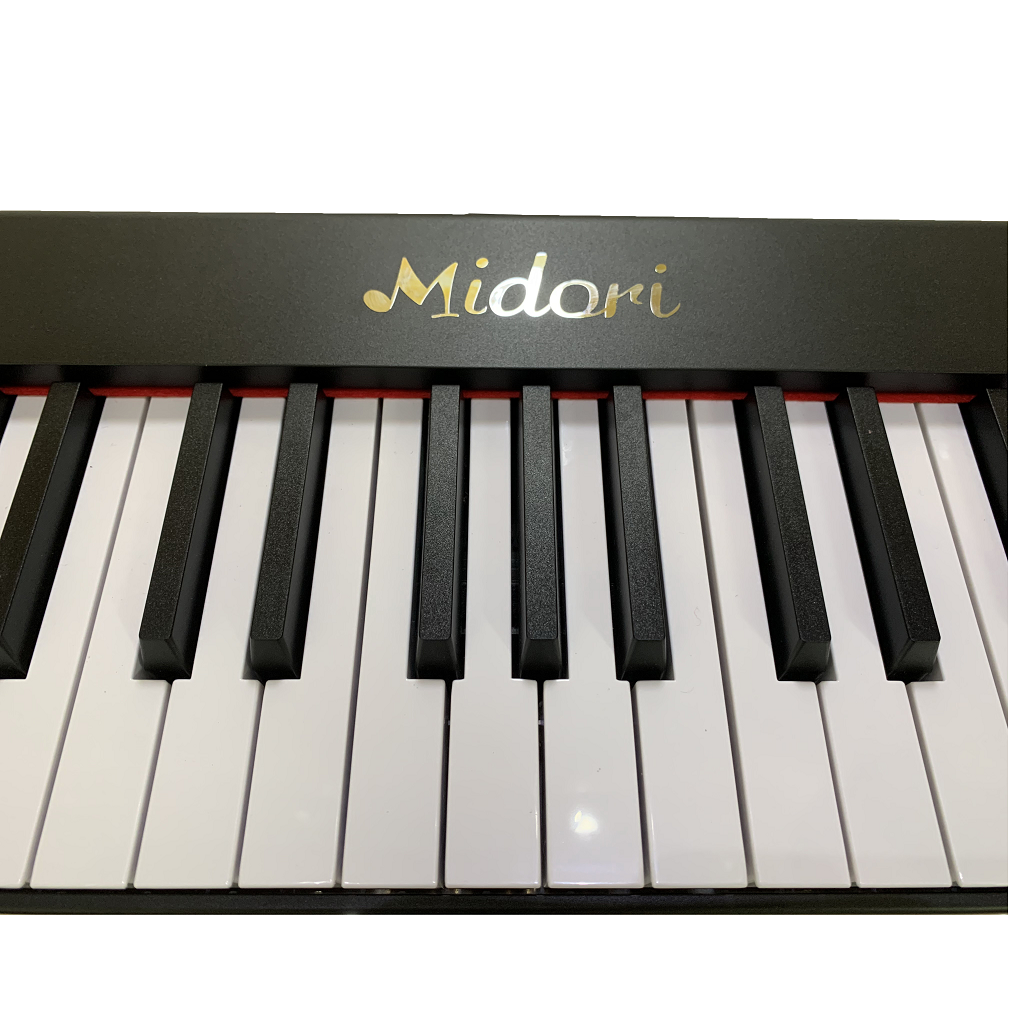 88-Key Digital Piano – Portable Electronic Keyboard for Home Practice & Music Learning - View 2