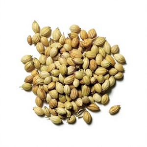 Graines de coriandre entières séchées de qualité supérieure, graines de coriandre indiennes naturelles, qualité d'exportation en vrac, épice aromatique fraîche pour l'assaisonnement des aliments - Product Image 1