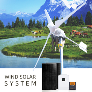 Système éolien ELEGE 1KW 5KW – Générateur d'énergie magnétique hors réseau à prix avantageux pour usage domestique – Nouveauté EL - Product Image 4