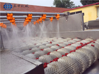 Machine à laver industrielle pour pommes de terre, carottes, gingembre, 60-100 kg/h, machine spirale, machine à peler les patates douces, machine à peler le manioc, éplucheur à rouleaux