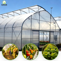 Serre tunnel tropicale en plastique renforcé à toit ventilé en dents de scie pour ventilation naturelle - En promotion