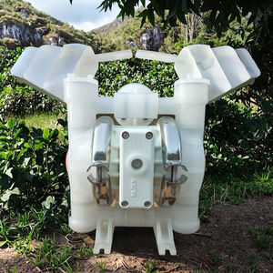 Diaphragmes de pompe à eau submersible <span class=keywords><strong>Wilden</strong></span> PP AODD à faible pression pneumatique <span class=keywords><strong>P2</strong></span>/PKPPP/WFS/WF/PWF/0400 résistants aux acides pour le traitement de l'eau - Product Image 3