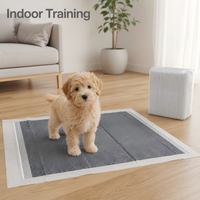 Vente en gros usine de tapis d'apprentissage jetables pour chiens en charbon de bambou et PE, anti-odeur, écologiques, imperméables et anti-fuites, pour l'entraînement des chiots