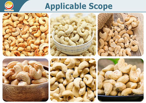 خط إنتاج آلي لمعالجة الكاجو من الشركات المصنعة، آلة معالجة الكاجو الجديدة الأعلى مبيعًا بسعر منخفض - Product Image 2